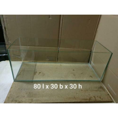 Aquarium voor vissen of schildpad
