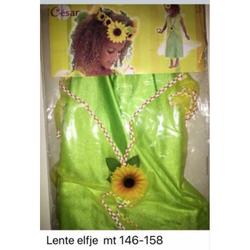 Carnavalskleding