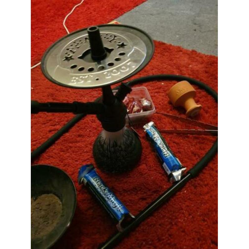 Shisha amy de luxe