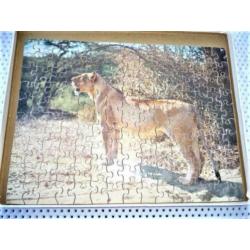 oude puzzel jaren 30 40 van leeuw in kruger park 32 bij 26 c