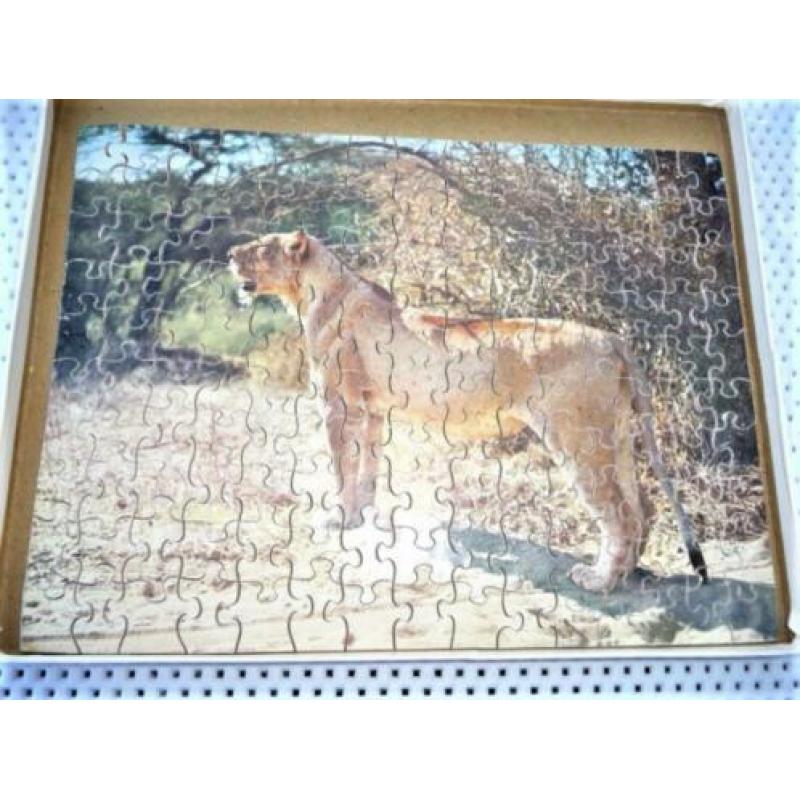 oude puzzel jaren 30 40 van leeuw in kruger park 32 bij 26 c