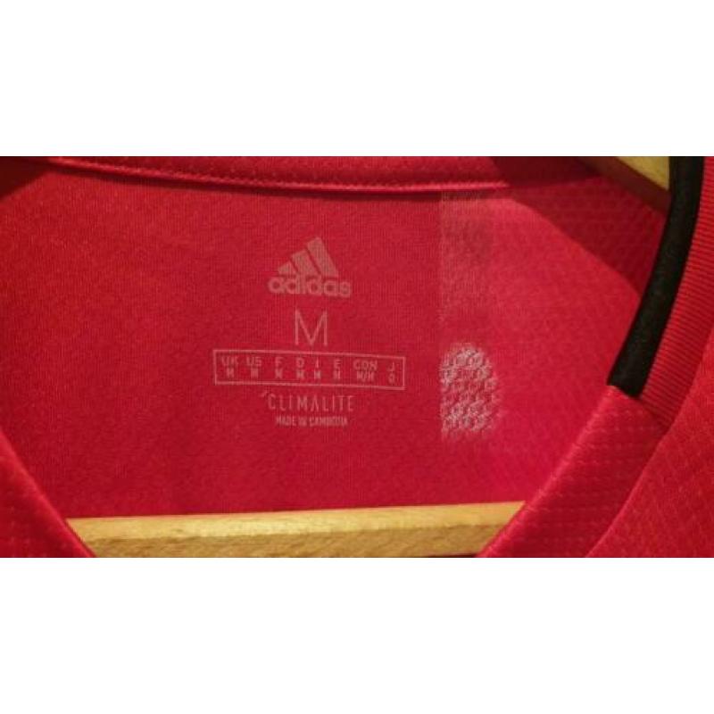 Ajax thuisshirt 2019/2020 Maat M origineel