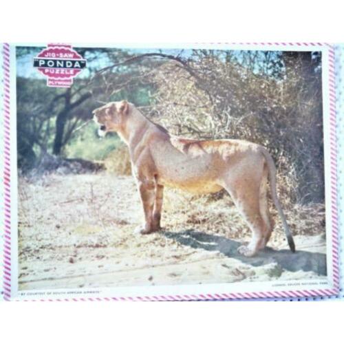 oude puzzel jaren 30 40 van leeuw in kruger park 32 bij 26 c