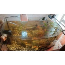 Aquarium (Inc deksel) met vissen en alle toebehoren.