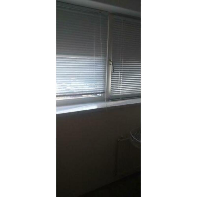 Witte luxaflex 10 stuks