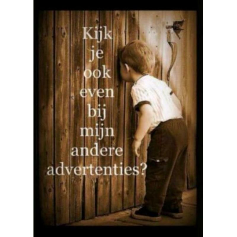 DIVIDED sweater grijs maat M - nieuw -