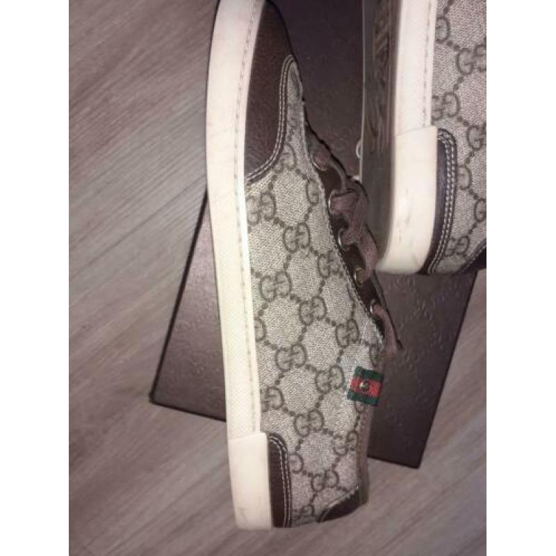 Schoenen cucci 37