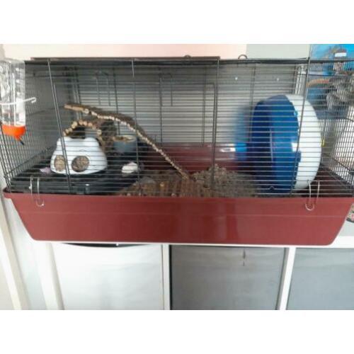 Hamsterkooi