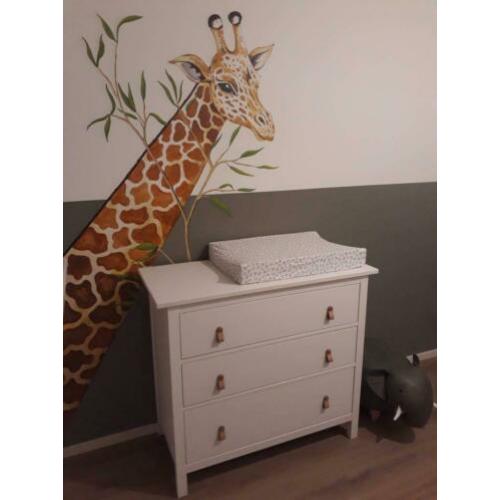 Unieke kinderkamer, muurschildering naar wens.