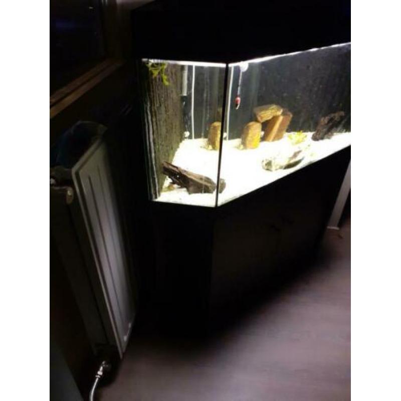 Mooi hoek aquarium vandaag halen voor 80 euro