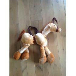Leuk paardenpak kind one size