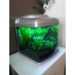Aquarium 30x30x37 inclusief vissen en toebehoren
