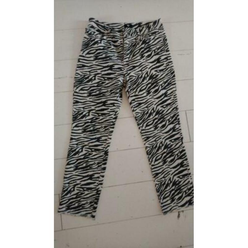 Catwalk Junkie Zebra Jeans XL