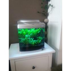 Aquarium 30x30x37 inclusief vissen en toebehoren