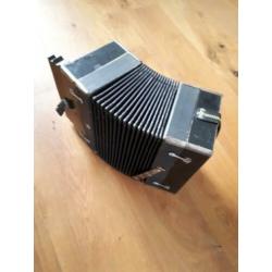 Antieke Accordeon