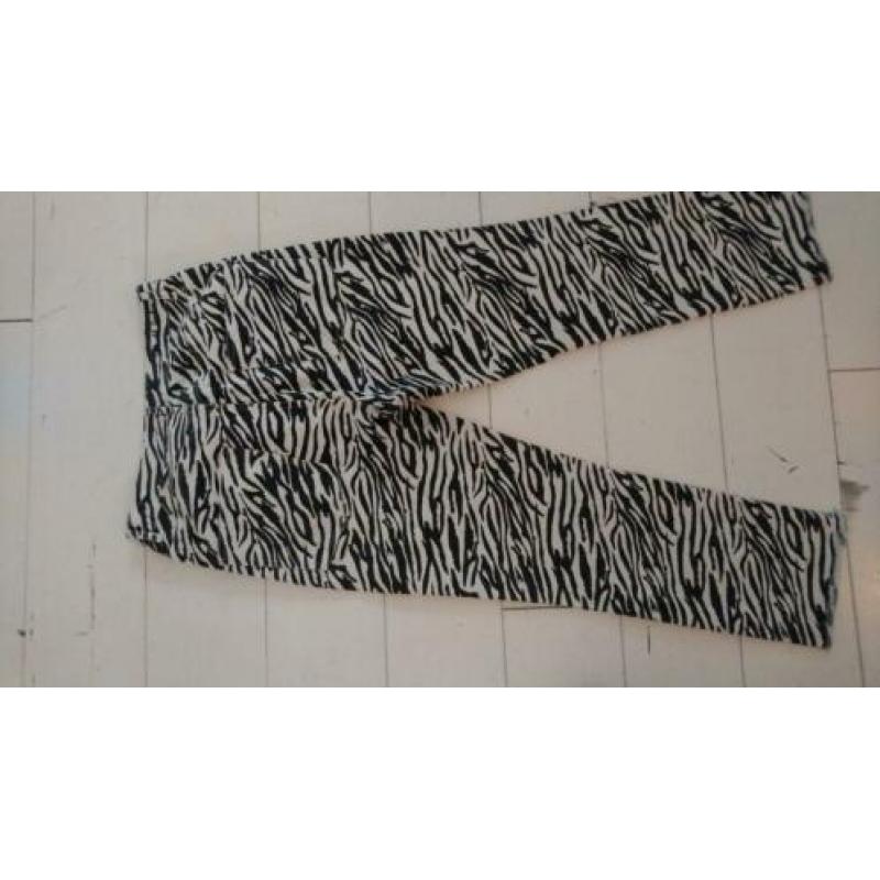 Catwalk Junkie Zebra Jeans XL