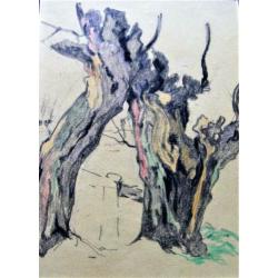 Adri Pieck 1894 - 1982 Knotwilg