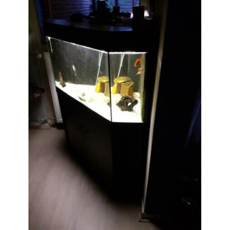 Mooi hoek aquarium vandaag halen voor 80 euro