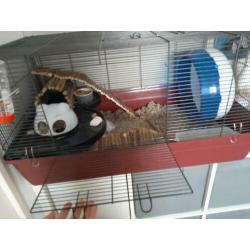Hamsterkooi