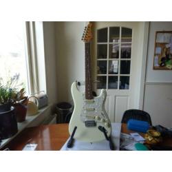 twee maal mushroom stratocaster