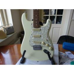 twee maal mushroom stratocaster