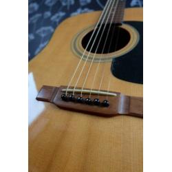 Washburn D10-N Gitaar +. Koffer + Pickup
