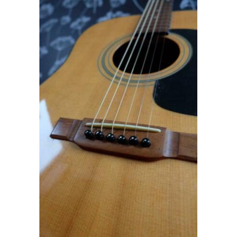 Washburn D10-N Gitaar +. Koffer + Pickup