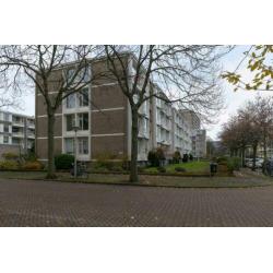 Messchaertstraat 6, 2551 KP Den Haag, NLD