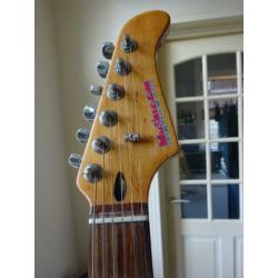 twee maal mushroom stratocaster