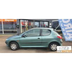 Peugeot 206 XN 1.1 new apk