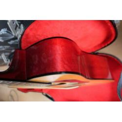 Washburn D10-N Gitaar +. Koffer + Pickup