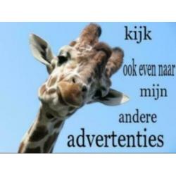 Oude beeldjes muzikanten voor op de piano bach beethoven enz