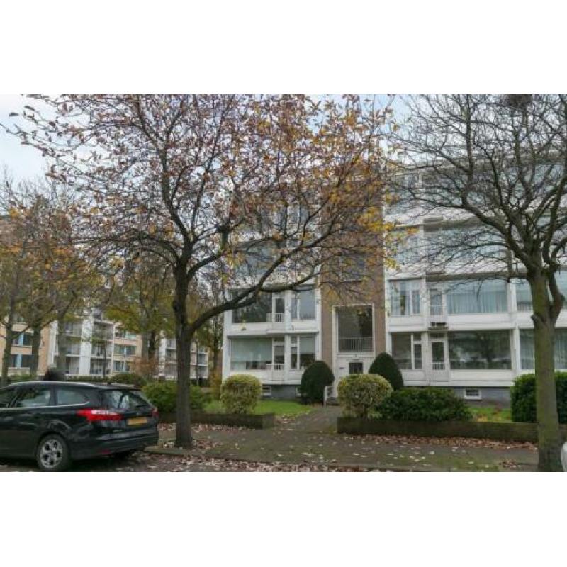 Messchaertstraat 6, 2551 KP Den Haag, NLD