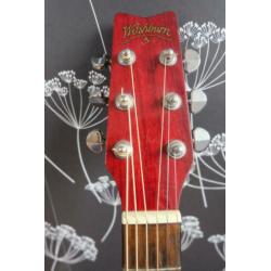 Washburn D10-N Gitaar +. Koffer + Pickup