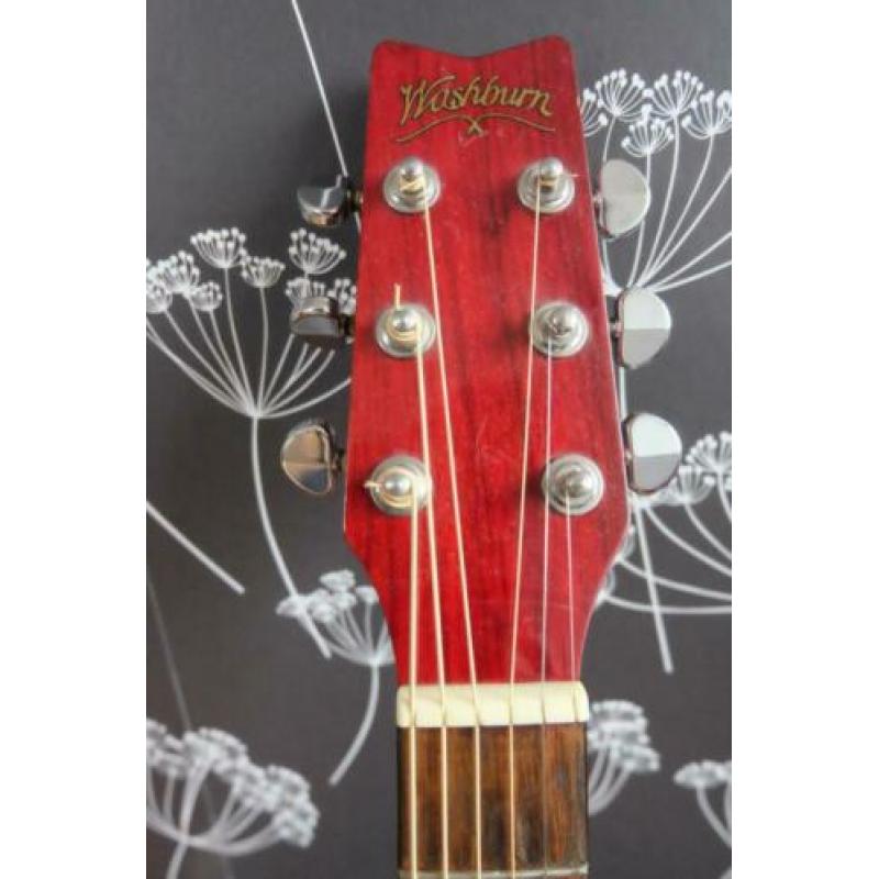 Washburn D10-N Gitaar +. Koffer + Pickup