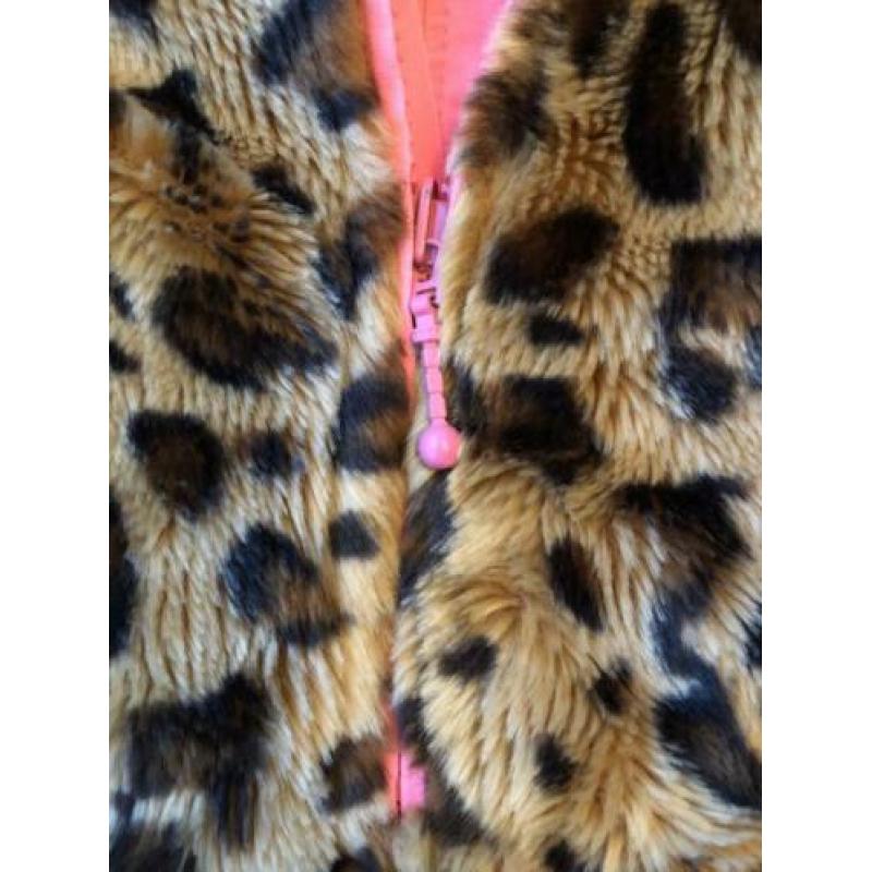 Claesens panter winter pak 80