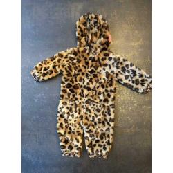 Claesens panter winter pak 80