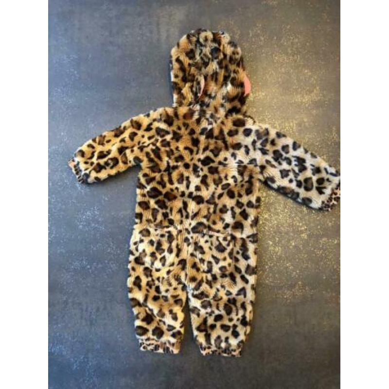Claesens panter winter pak 80