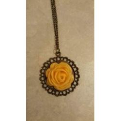 Mooie hanger aan ketting