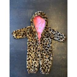 Claesens panter winter pak 80