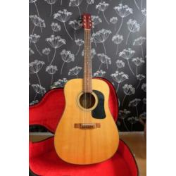 Washburn D10-N Gitaar +. Koffer + Pickup