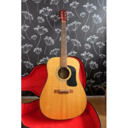 Washburn D10-N Gitaar +. Koffer + Pickup