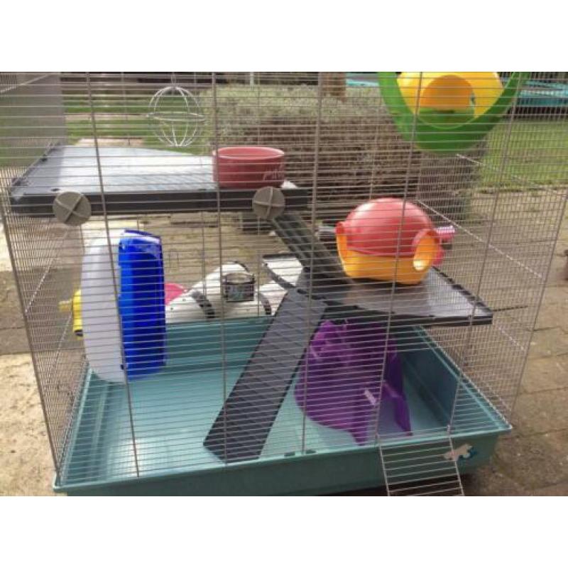 Kooi voor ratten of andere knagertjes