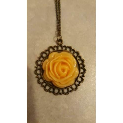 Mooie hanger aan ketting