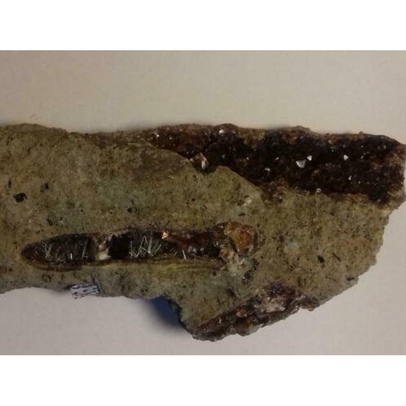 Versteend hout met calciet en natroliet, mount Elgon 0eganda