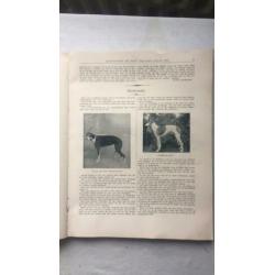 Kynologisch jaarboek 1932 De Hond