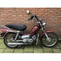 Tomos Revival TS bromfiets opknapper