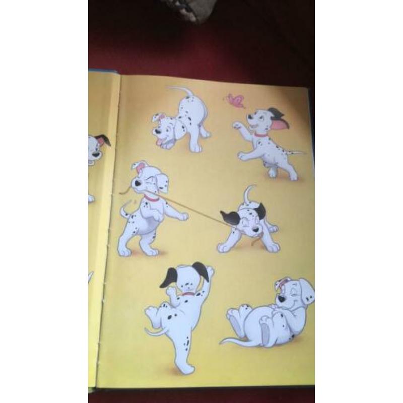 Disney boek 101 schatschravers