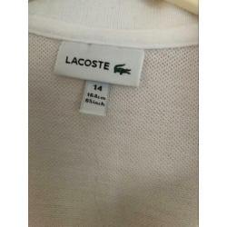 Polo+shirt Lacoste (164)
