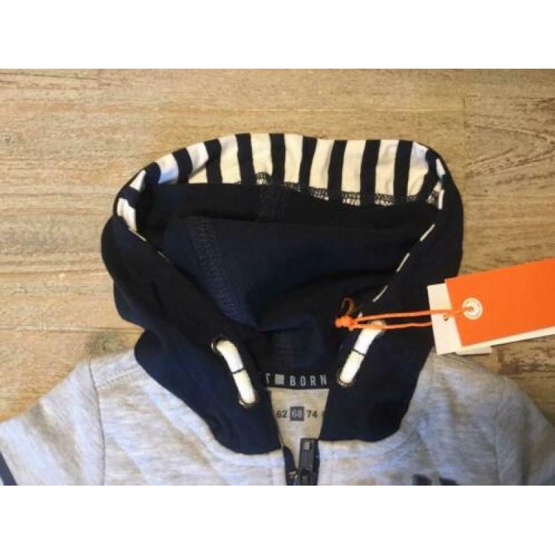 Nieuw vest grijs en blauw Born to be Famous 68